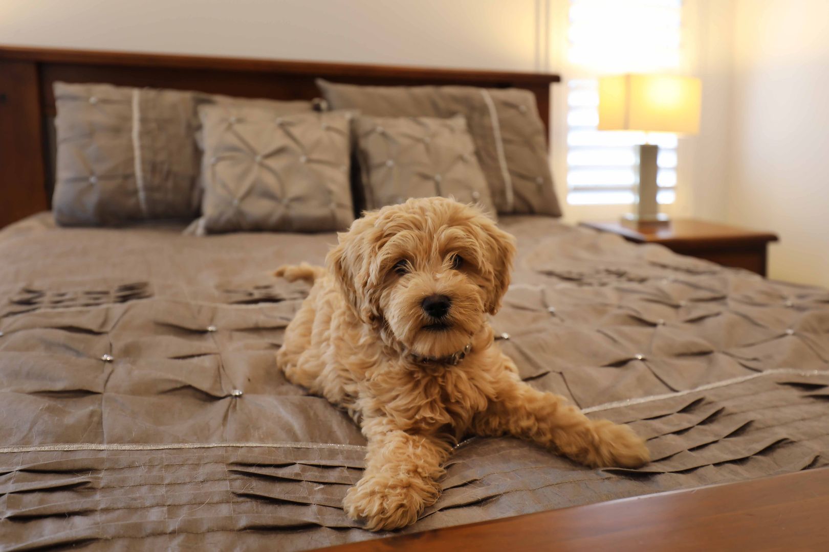 It’s All About LIFESTYLE, It’s All About YOU! Villa 35 Living Gems