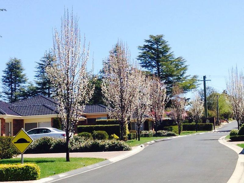 Independent Living Villas