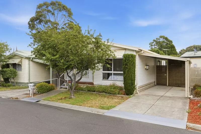 Beautifully Renovated Haven