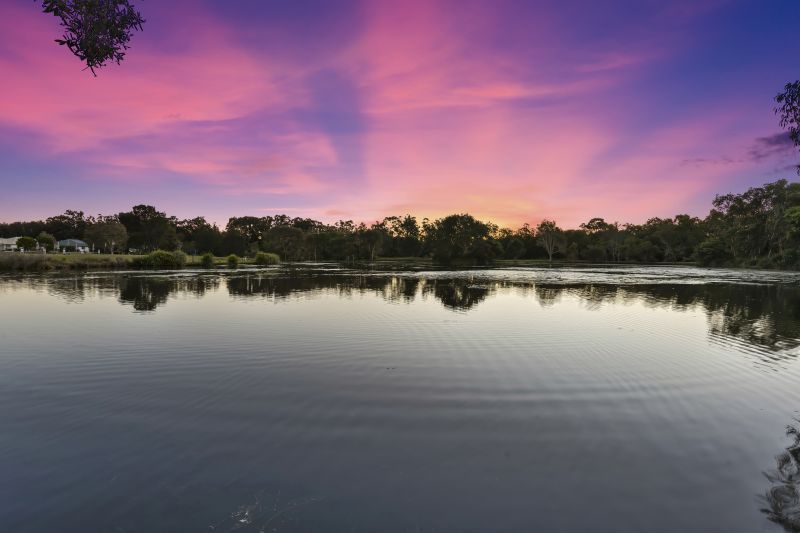 Site 136 - Established Coringa