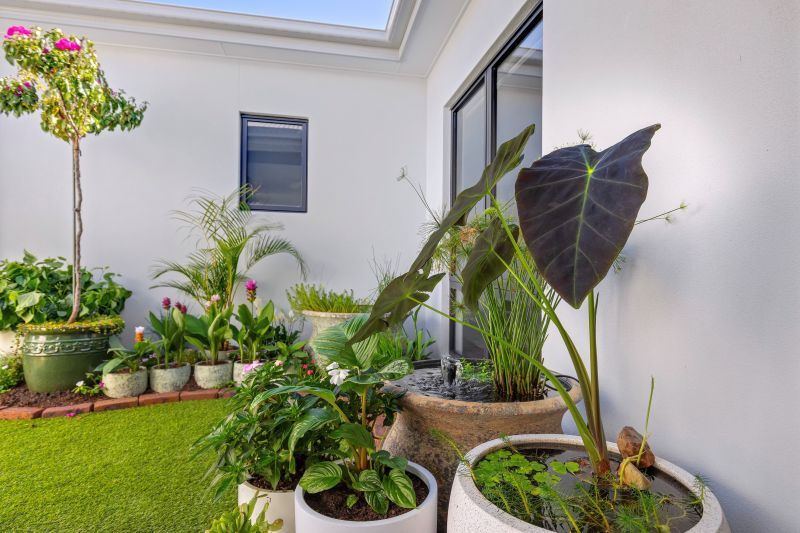 Site 165 - Established Cottesloe