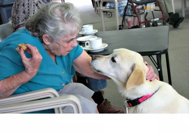 Albert Moore Gardens, Merimbula