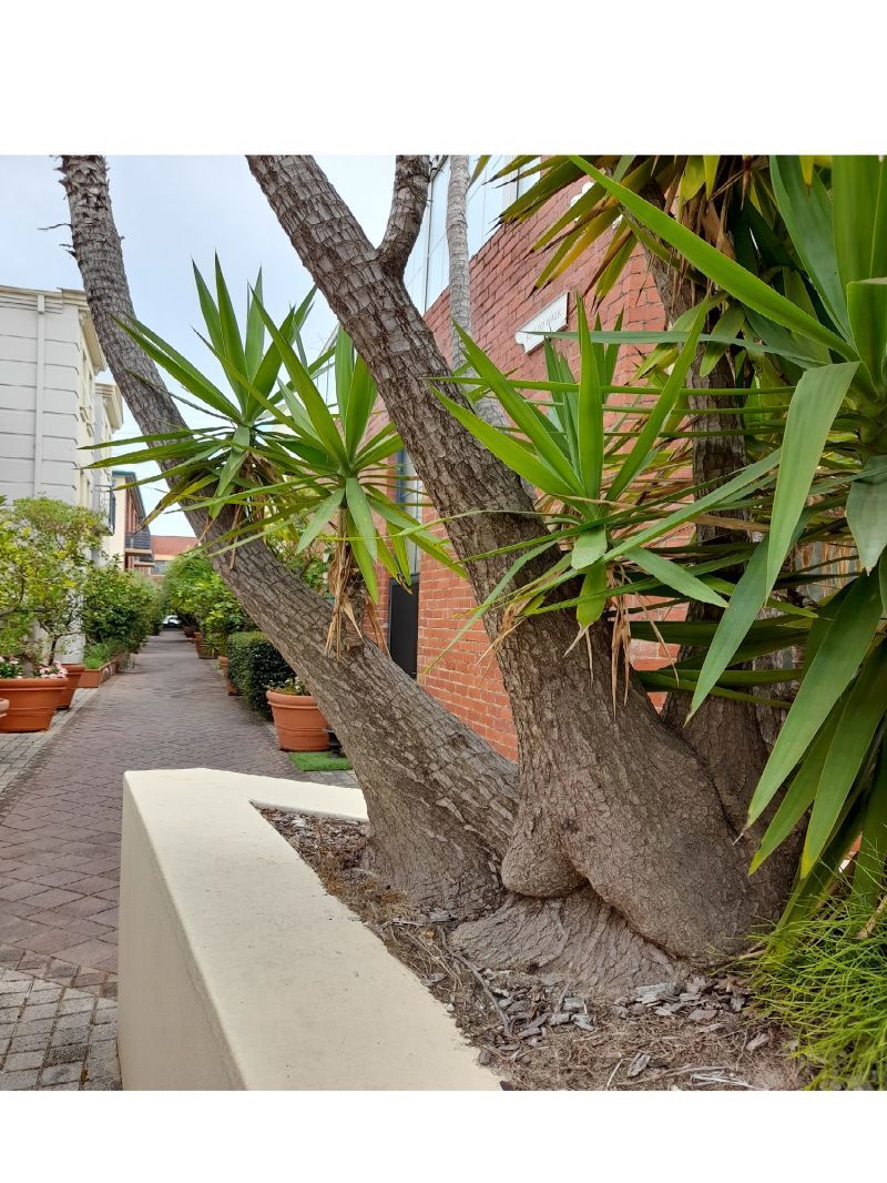 A Unique New York Style Townhouse, Heritage Development!