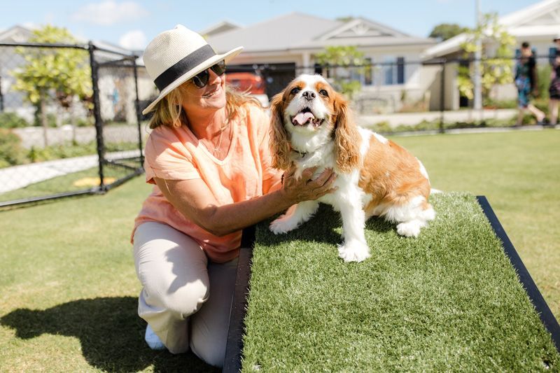 Introducing the Valencia 