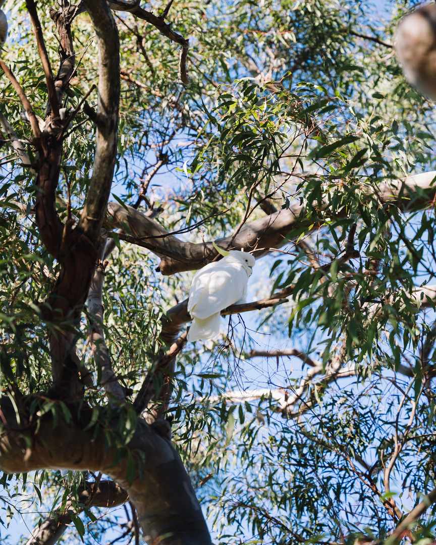 One Worth Waiting For