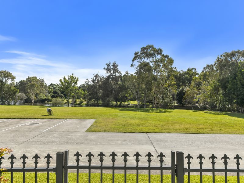 Site 127 - Established Sumarez