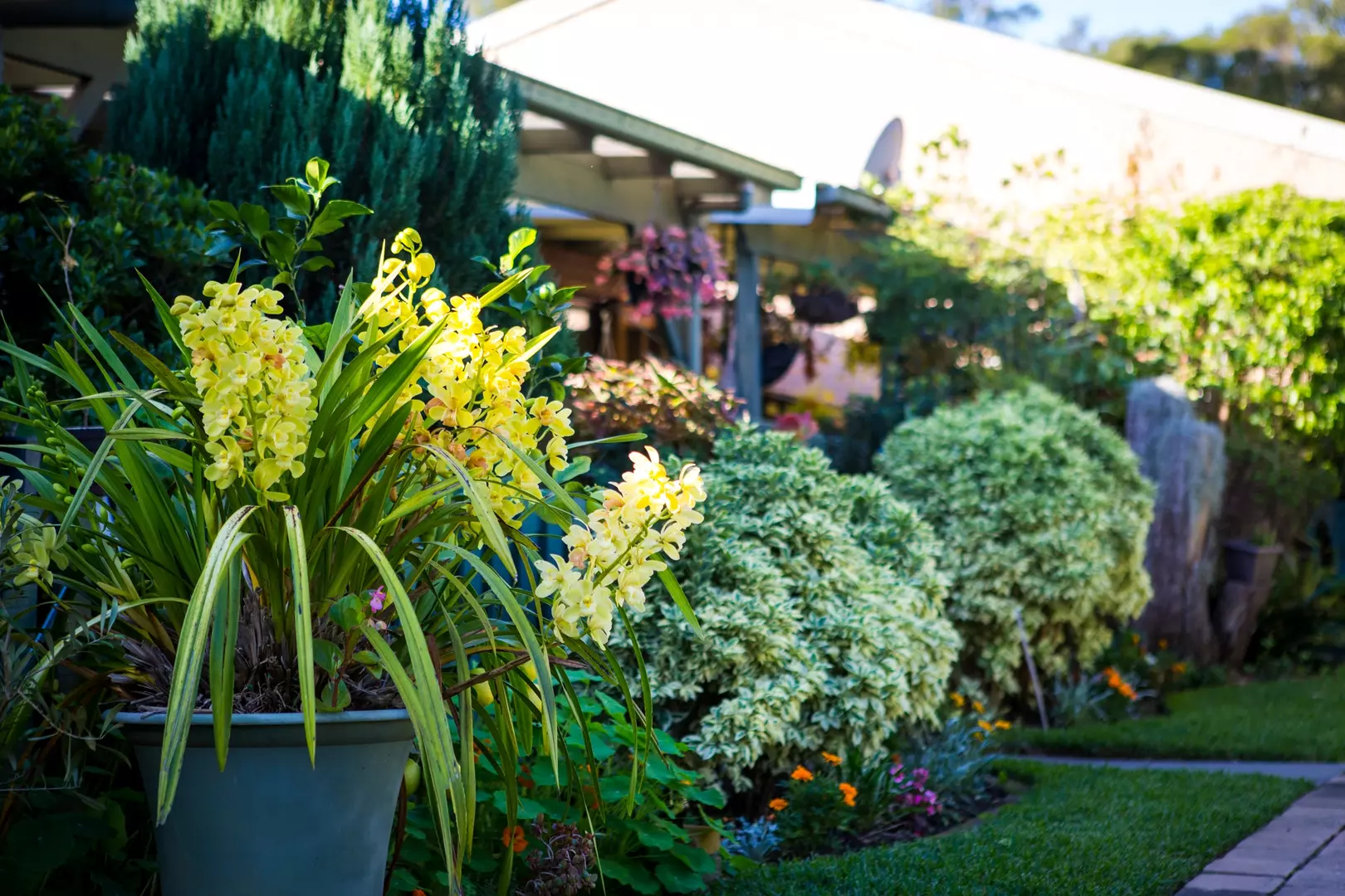 Beautiful Sun Filled One Bedroom Garden Villa