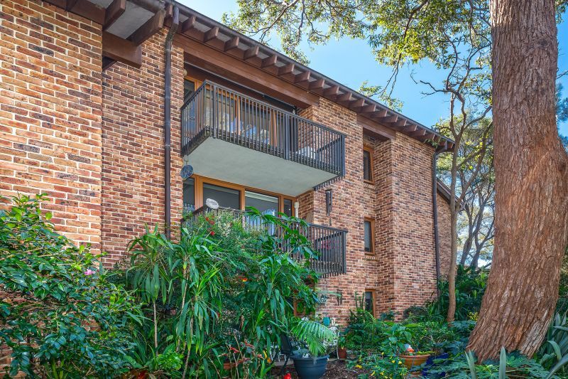 A home among the gum trees - Stunning outlook over Cromer Valley awaits new retirees!