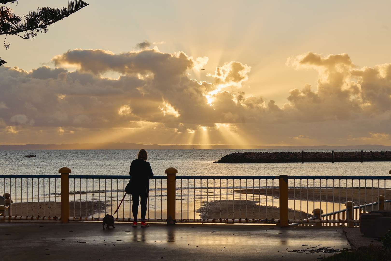 Connected to coast, nature and convenience. Live moments from Moreton Bay's waterfront, surrounded by green open spaces and everything you need for effortless living
