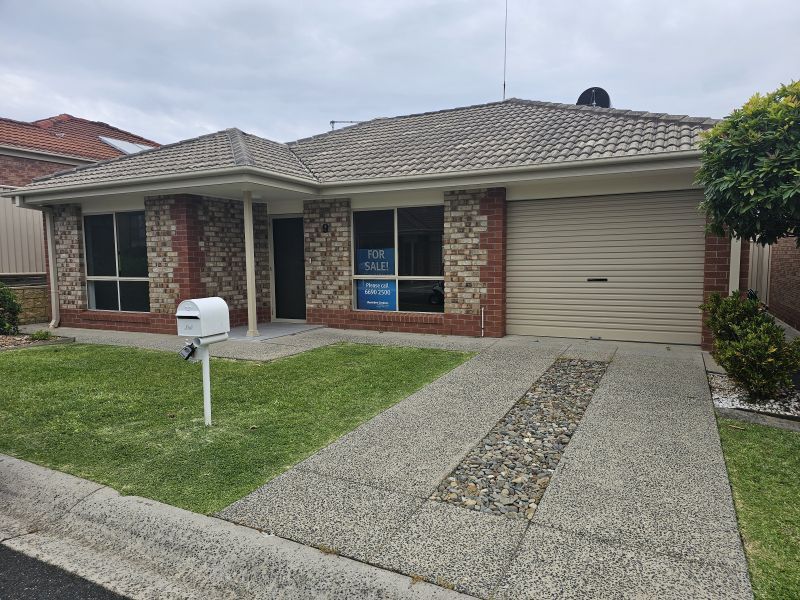 1 Bedroom + Sunroom and QLD room. North facing Lounge.