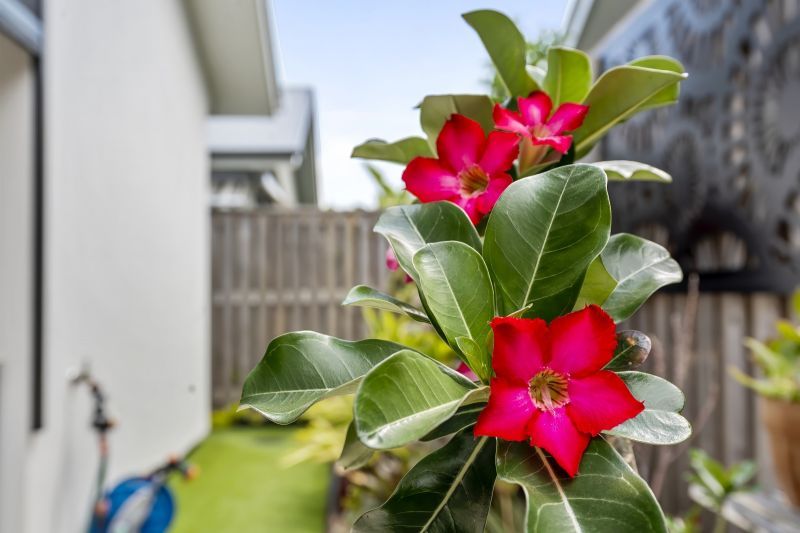 Bushland Bliss - Effortless Modern Living