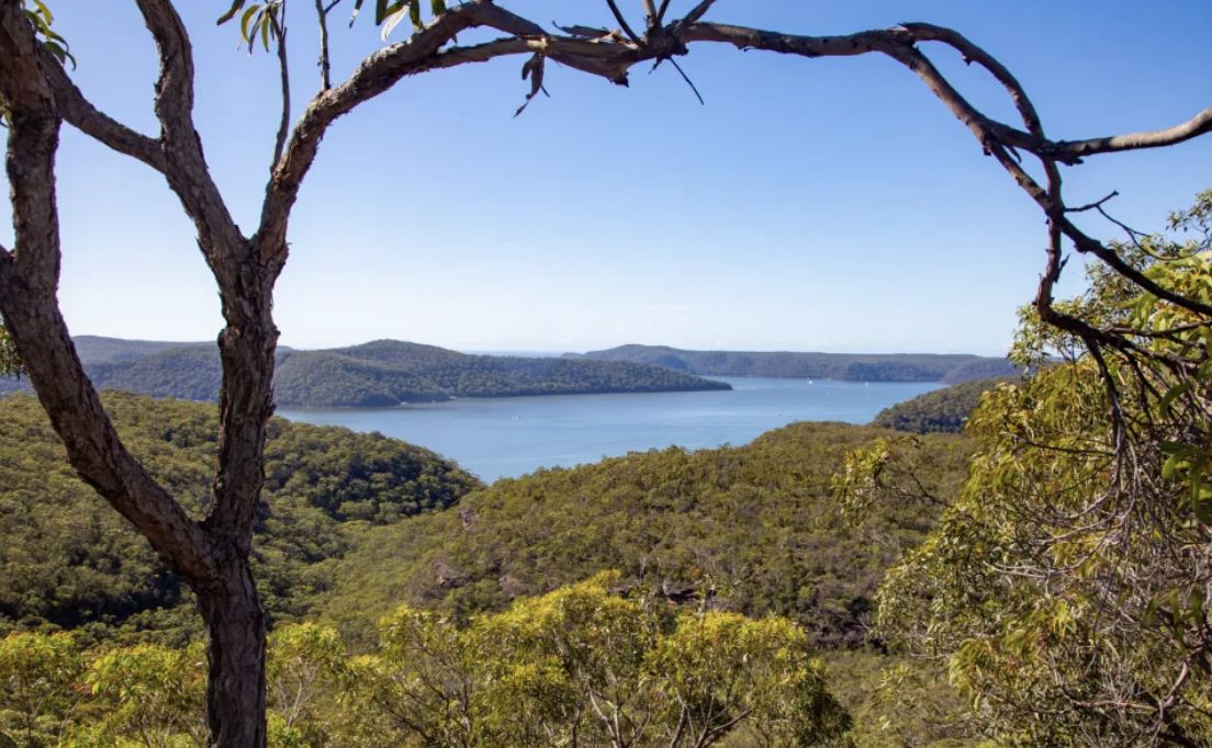 The Hills and Hawkesbury