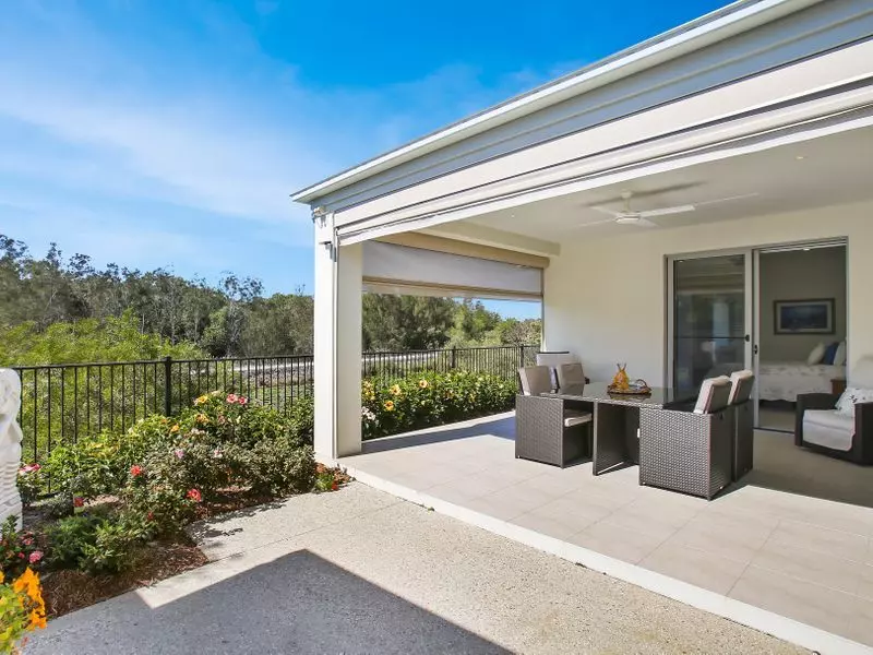 Waterfront Bird Watching