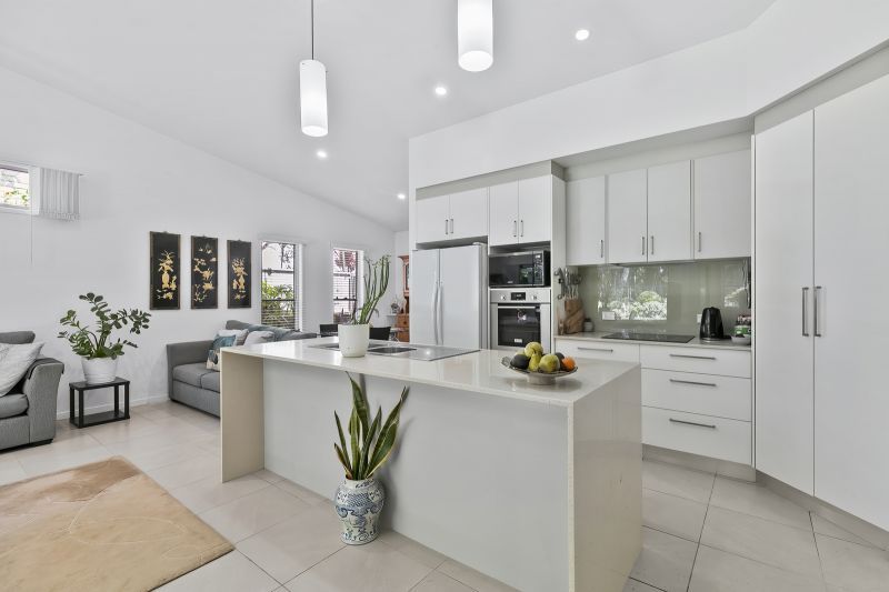 Stunning Rainforest Backdrop