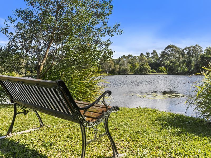 Site 127 - Established Sumarez