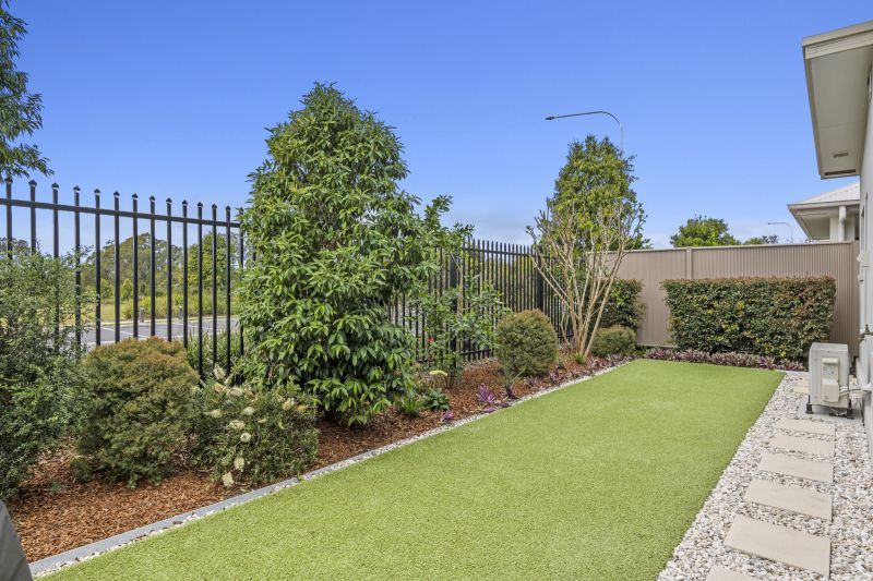 Site 169 - Established Rosevale