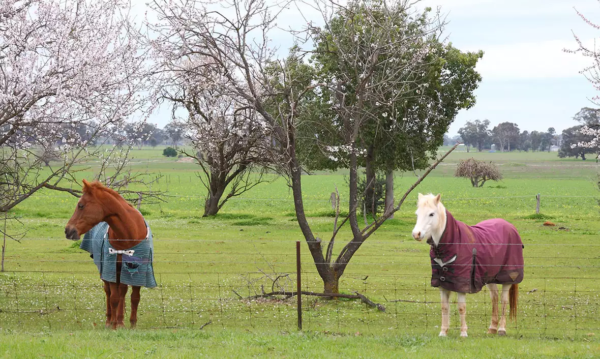 Karinya Residential Aged Care