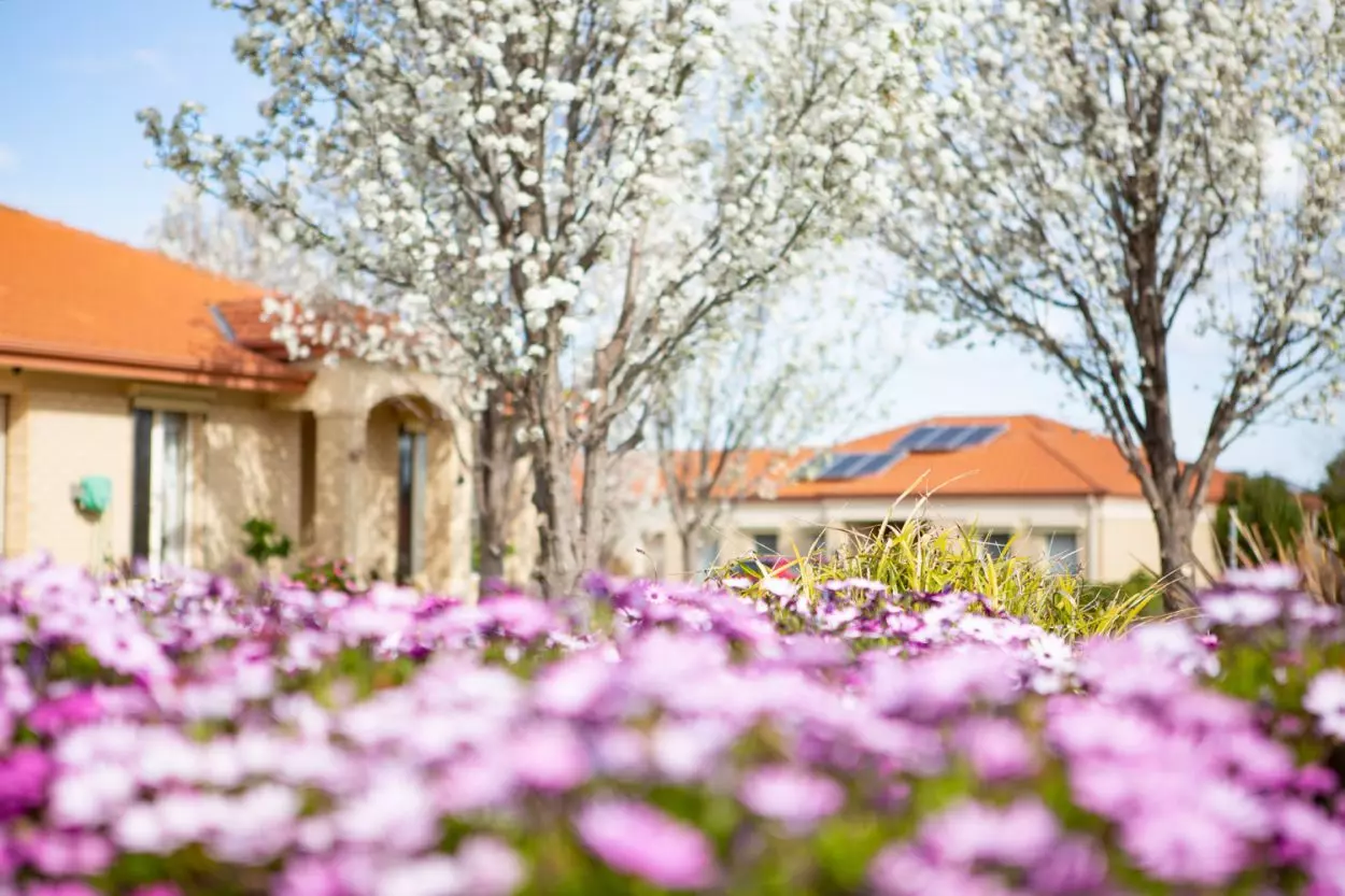 2 Bedroom Beautiful Apartments - Safe, Affordable