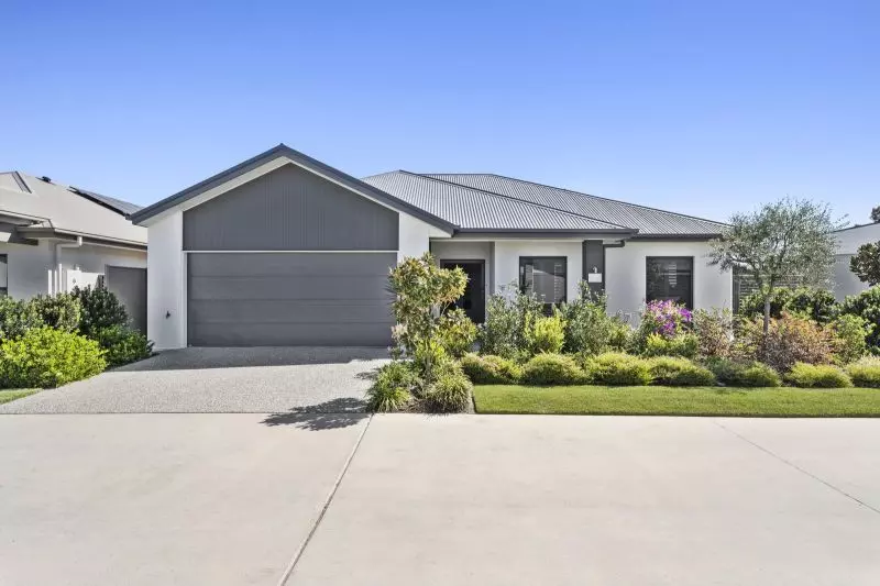 Site 446 - Established Special