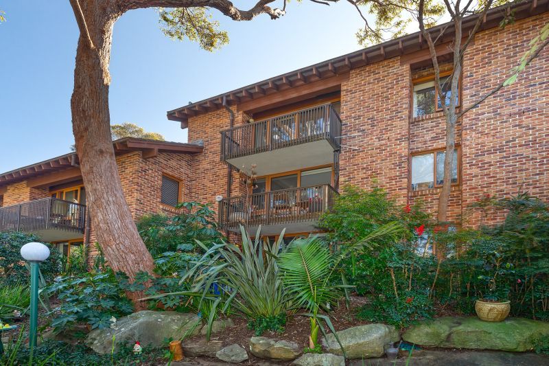 A home among the gum trees - Stunning outlook over Cromer Valley awaits new retirees!