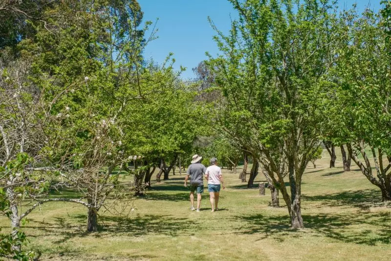 2-bedroom home | Morgan Design