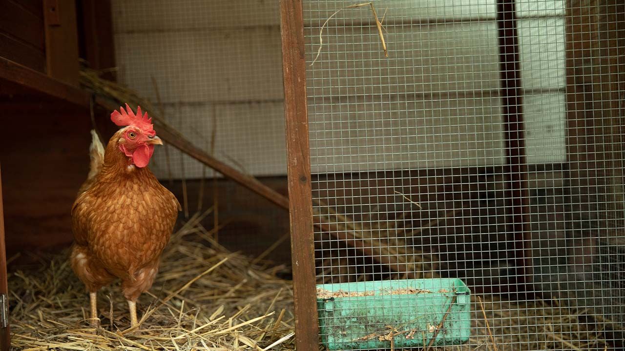 Garden Suburb Aged Care Facility