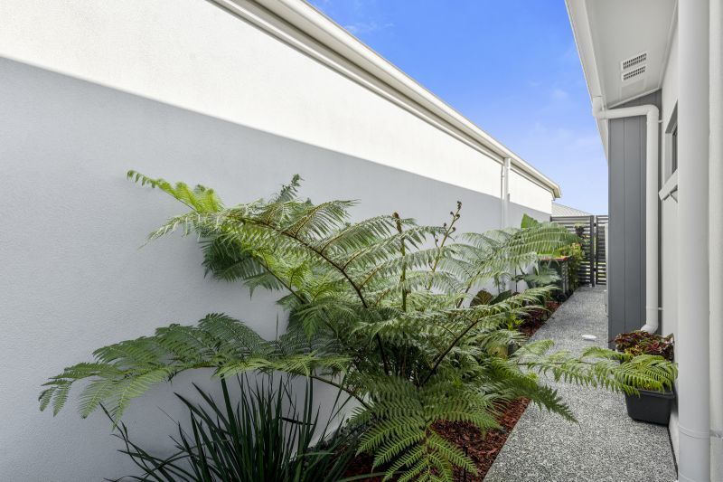 Site 254 - Established Kooralbyn