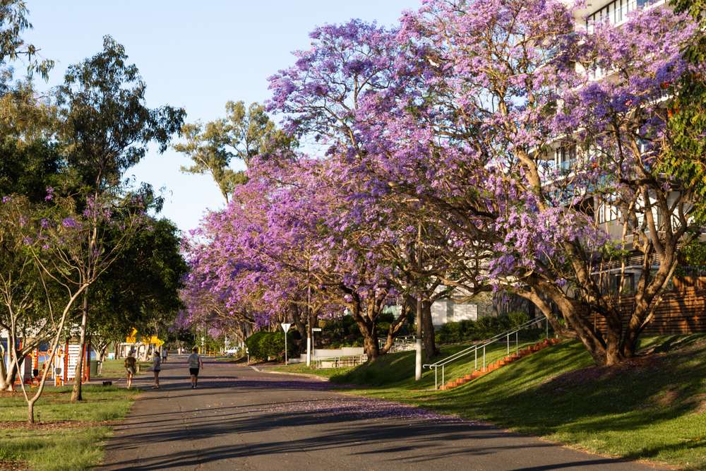 West Brisbane