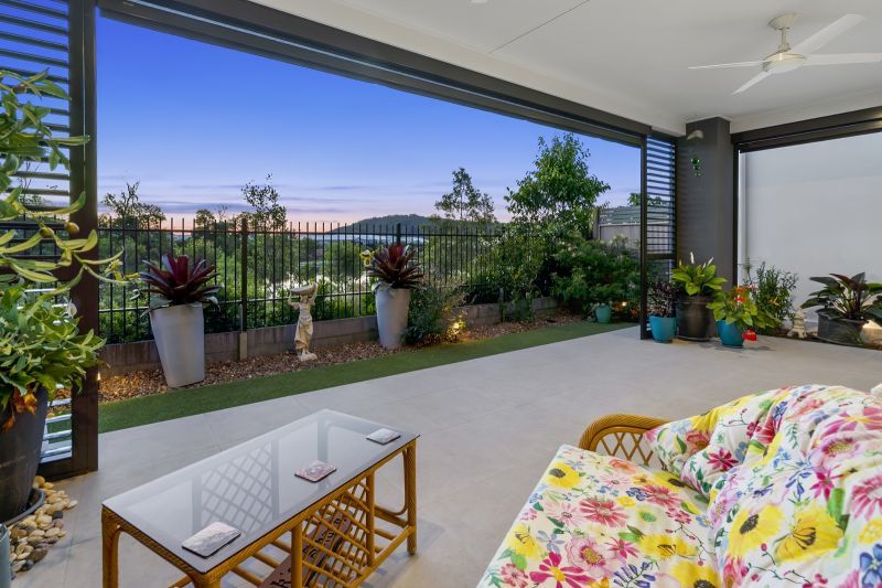 Site 261 - Established Kondalilla