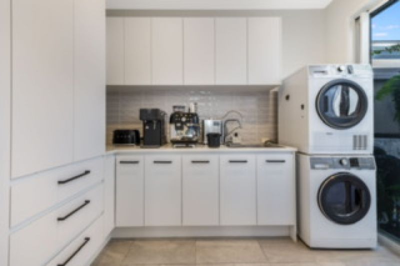 Site 262 - Established Sequoia