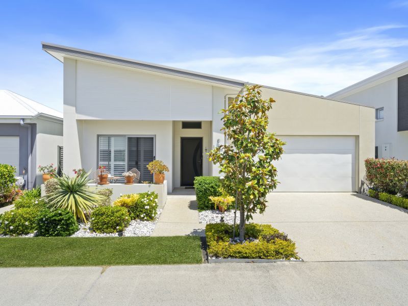 Site 8 - Established Heron