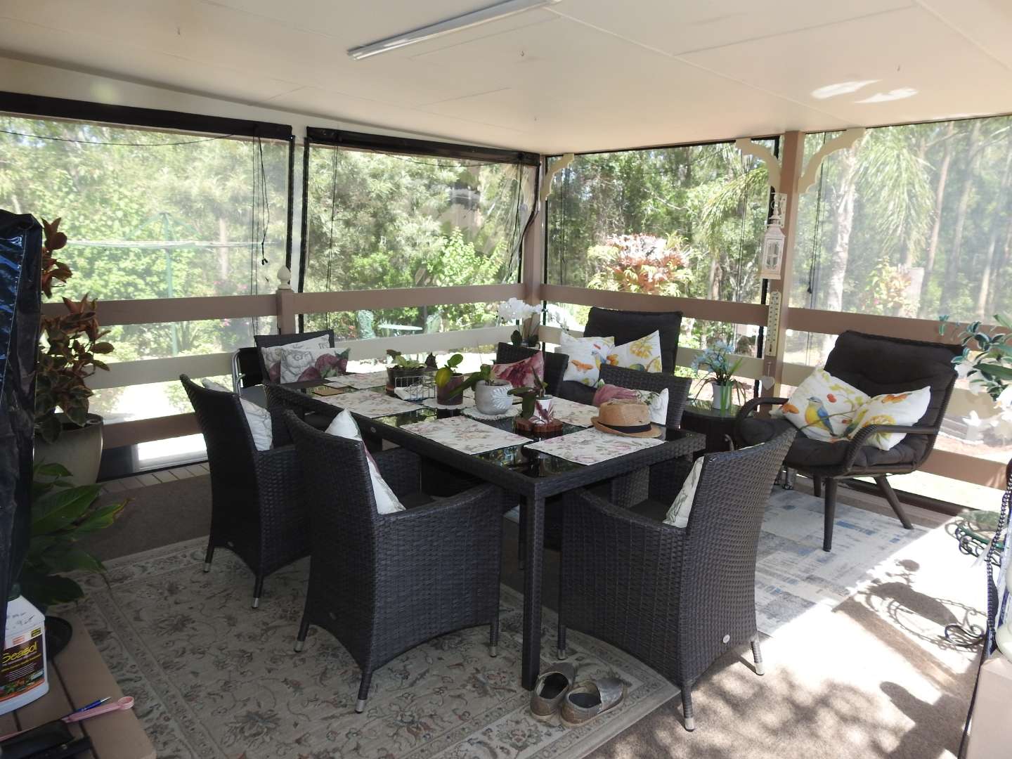 What a find in Palm Lake Resort