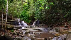 Buderim