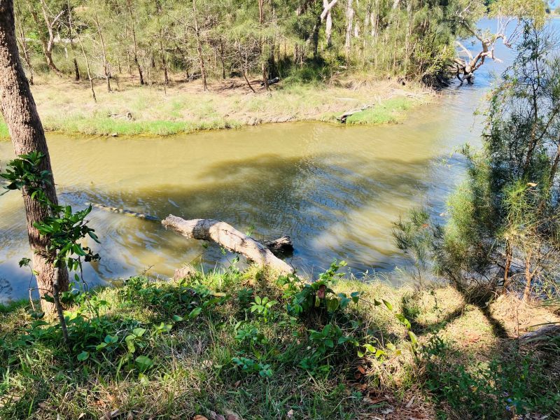 Bush and water outlook