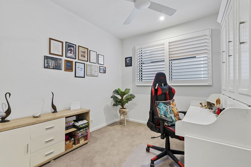 Site 261 - Established Kondalilla