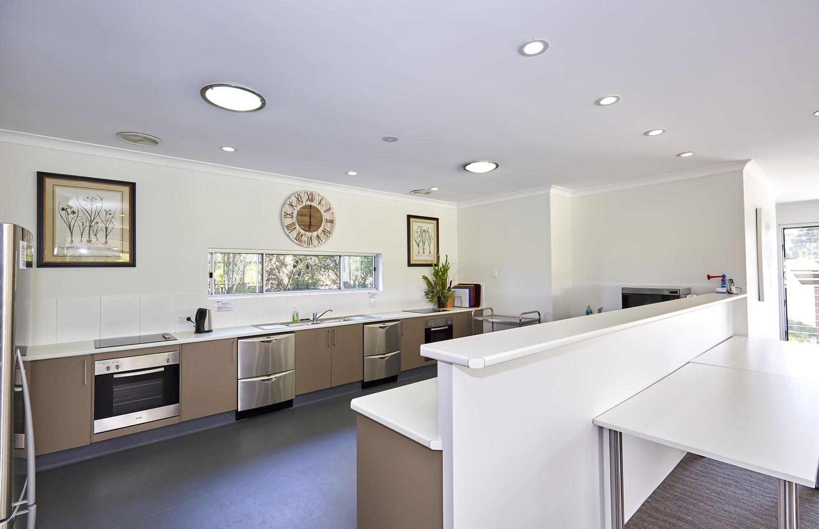 Golden opportunity to downsize with the Golden Grevillea