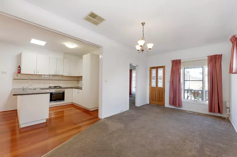 Plenty of Natural Light!