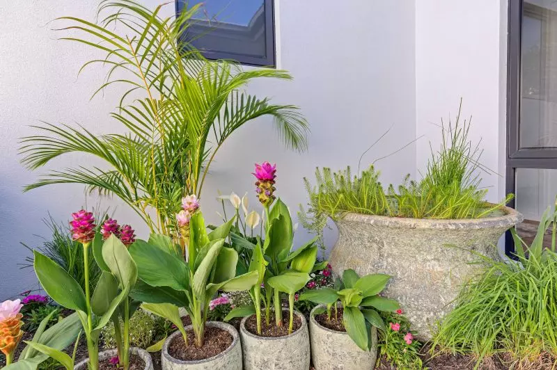 Site 165 - Established Cottesloe