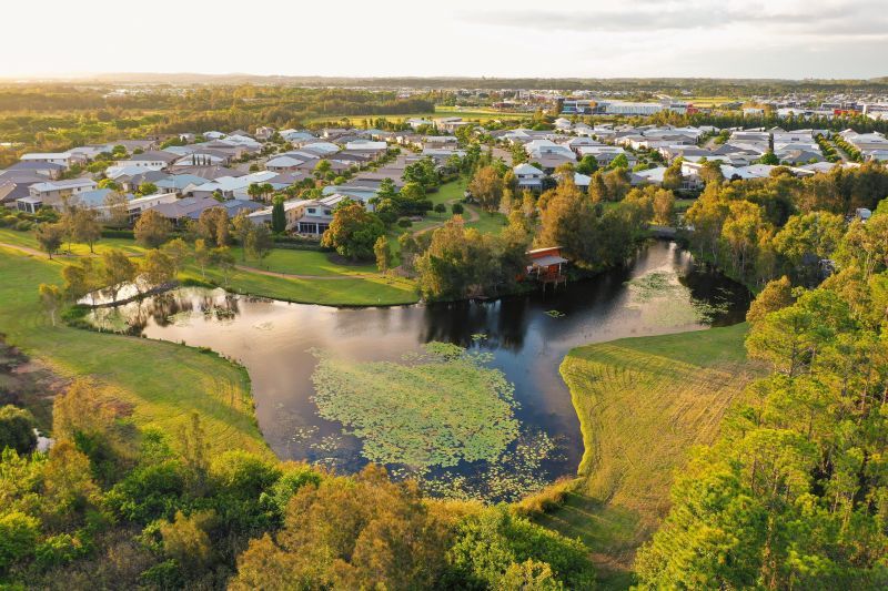 Site 36 - Established Hinchinbrook