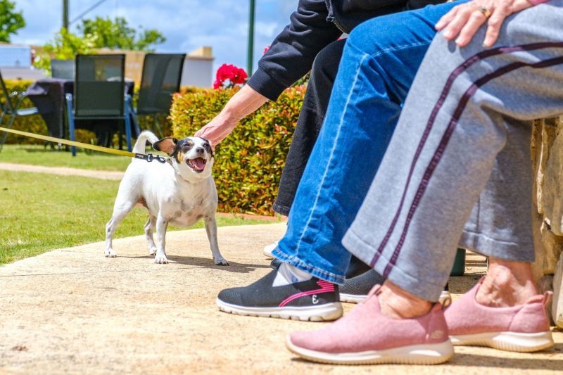 A light-filled Modern 2-bedroom | New Build