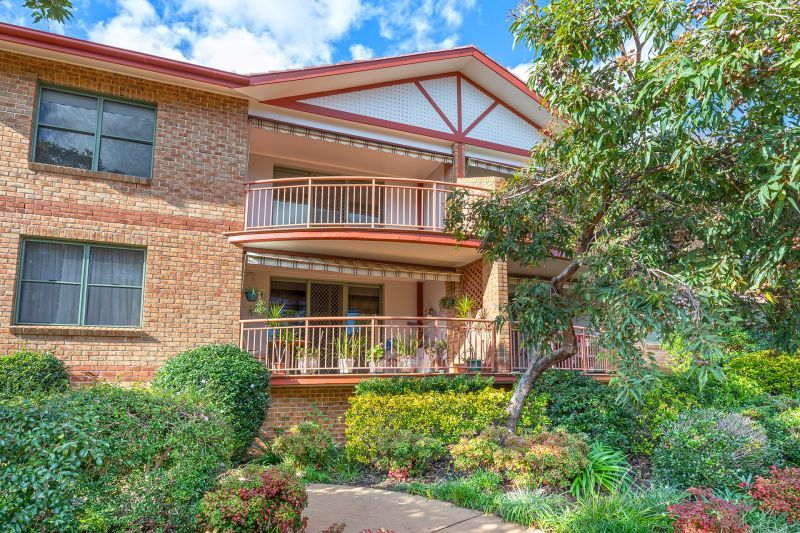 Sunny outlook from living areas flowing to a wide balcony overlooking our tree-lined  surrounds.