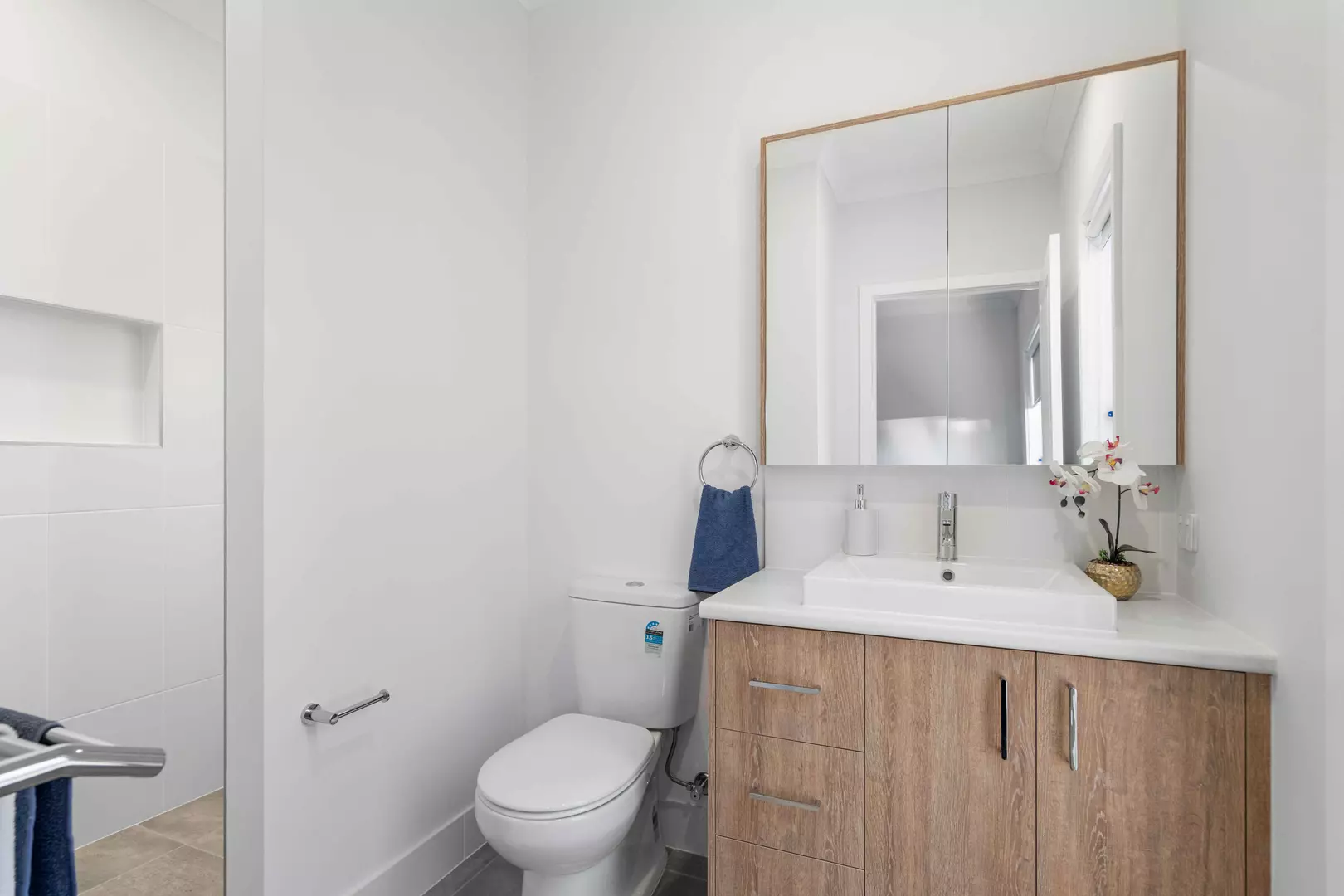 Move-In Ready, Available Now - Willow II Design