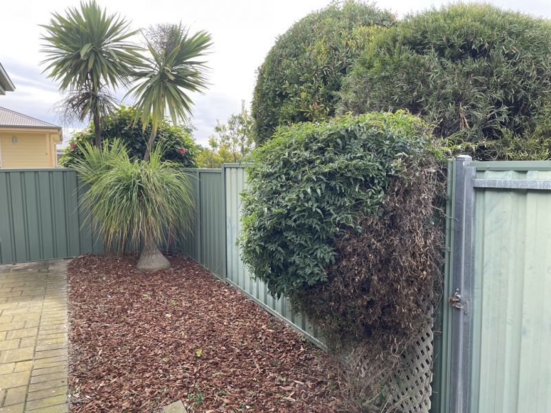 Lovely Home - Fantastic Location