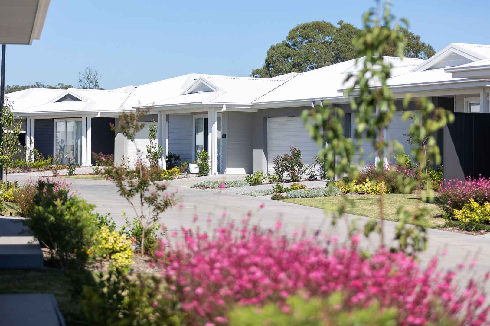 The Grevillea Villa at Green Ridge Hunter Valley — designed for easy living, inside and out.