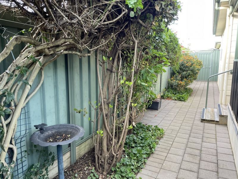 Delightful Sturt Design