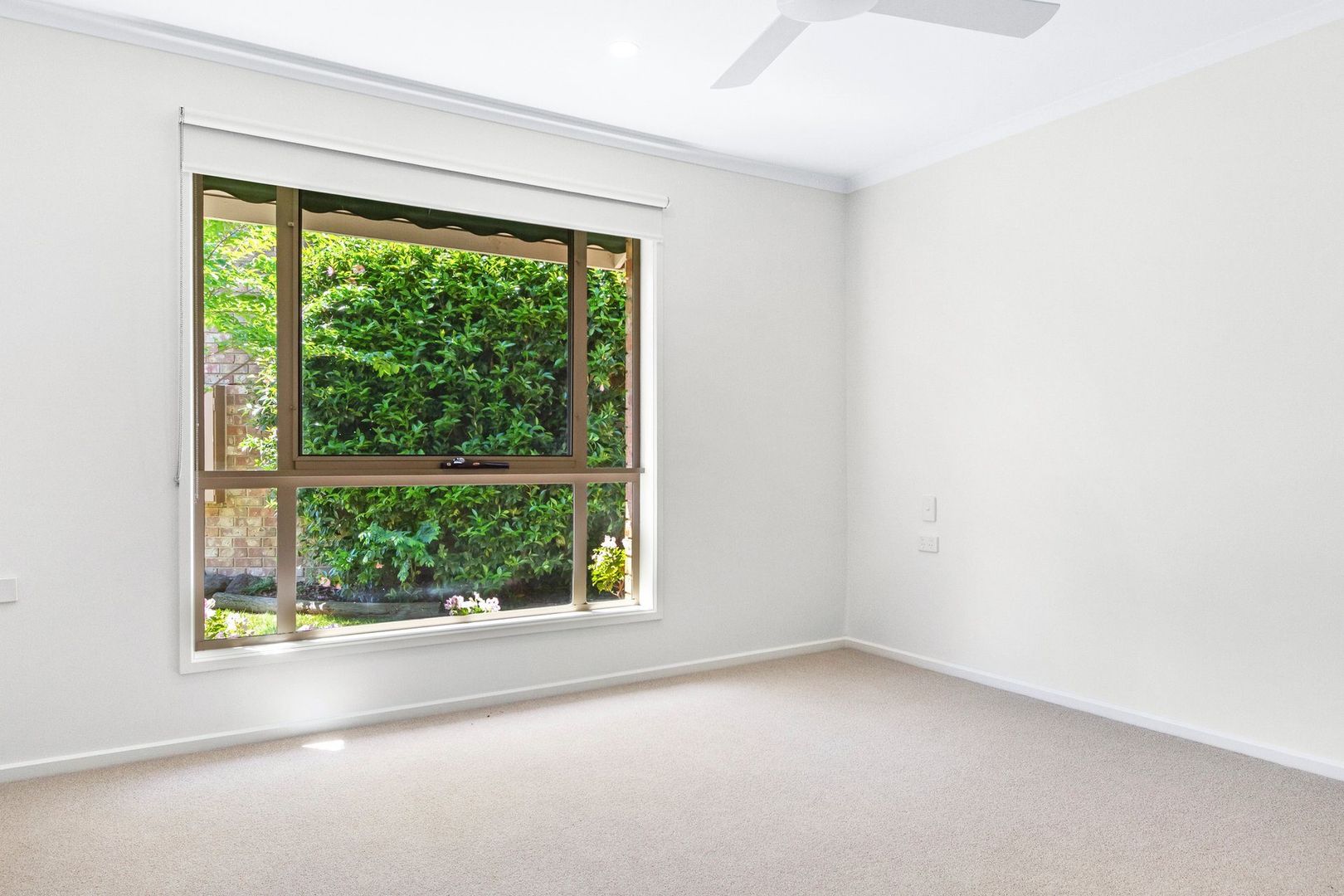 Light-Filled Living, Fresh New Style