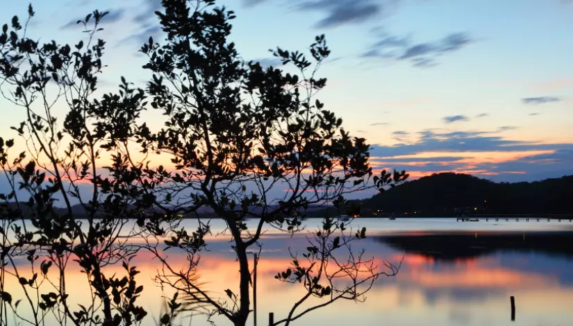 Kincumber & Surrounds