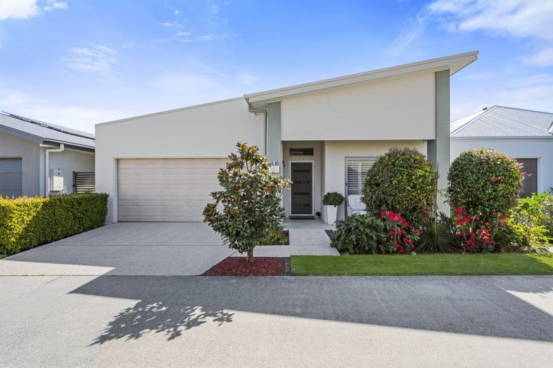 Site 82 - Established Heron