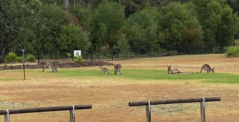 Retire in Style -Nothing to do but Enjoy!