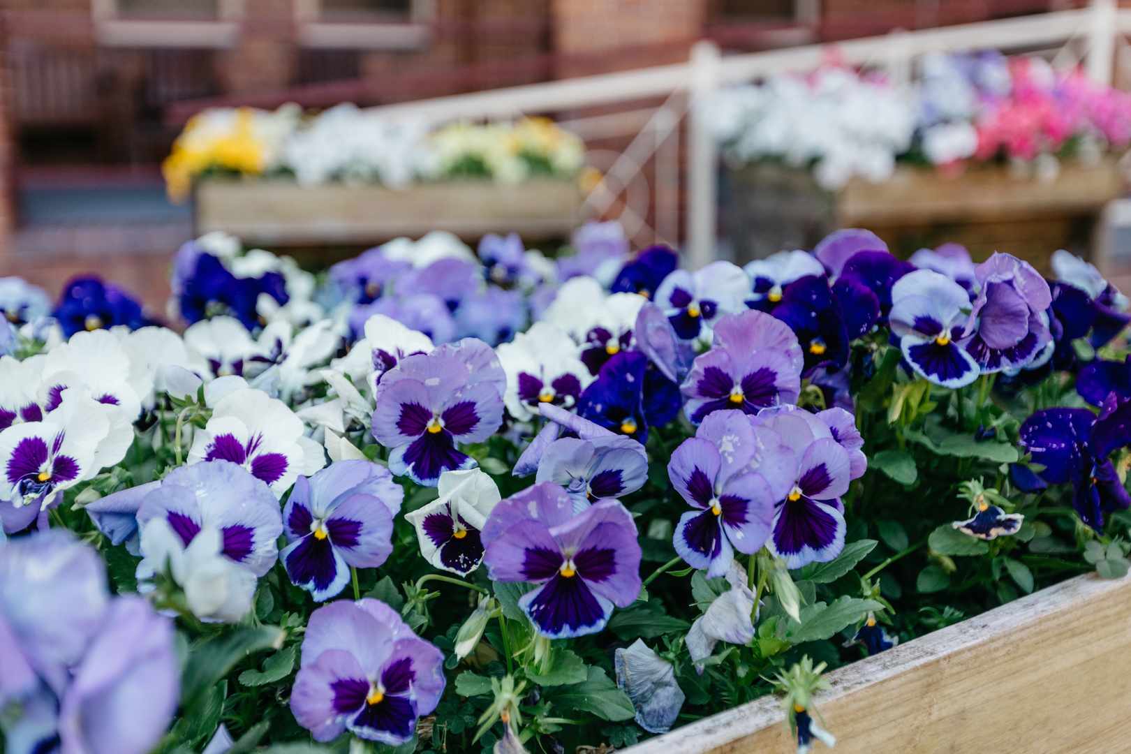 2 Bedroom Units Available @ St Vincent's Care